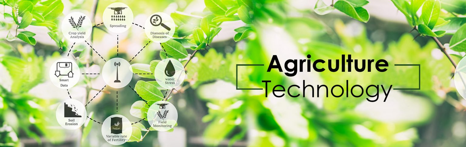 Agritech, Biotech and Food Processing – Bangladesh Venture Capital